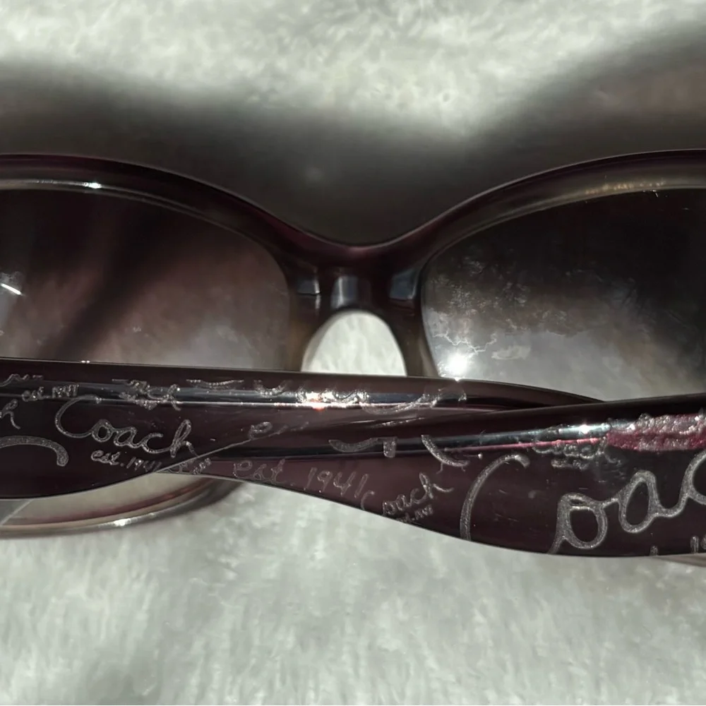 Coach Taryn Purple (Plum Horn) Sunglasses - Picture 4 of 9